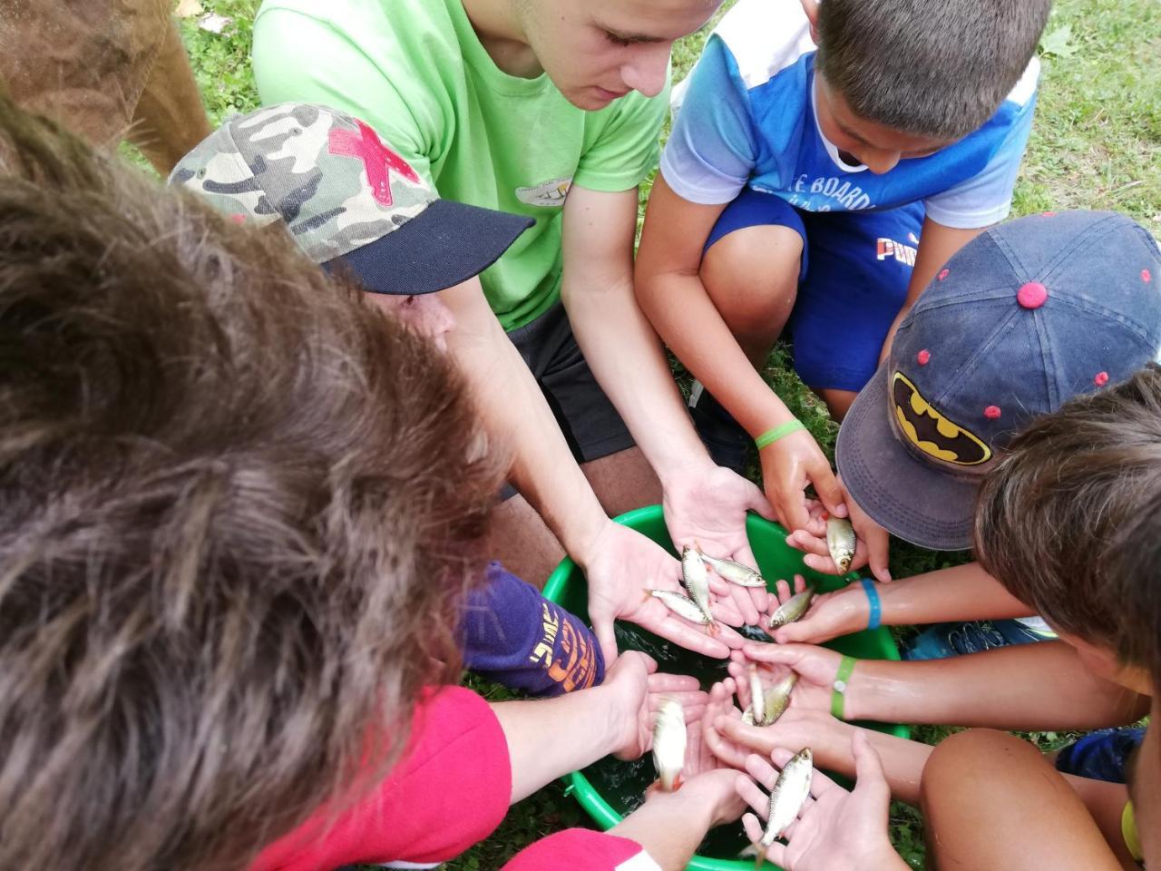 סן-ז'ירון Camping 3 Etoiles - Piscine Chauffee - Vue Montagne מראה חיצוני תמונה
